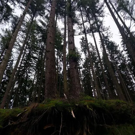 شقة Talblick & Ruhe In Langenthal *