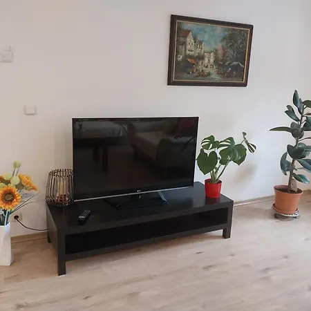 Talblick & Ruhe In Langenthal Appartement *