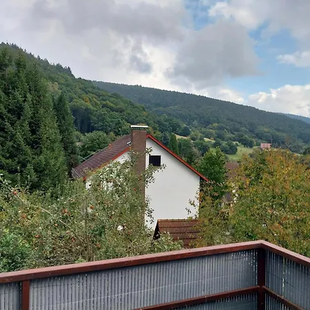 Appartamento Talblick & Ruhe In Langenthal Hirschhorn