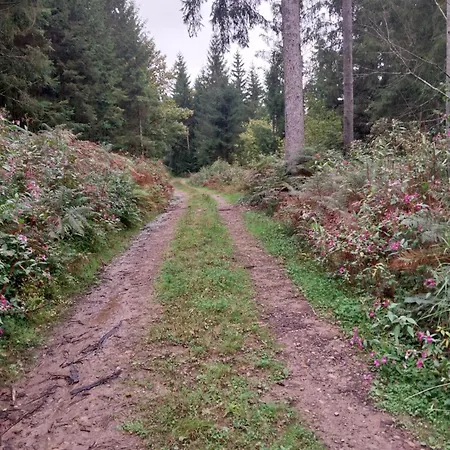 Talblick & Ruhe In Langenthal Daire *