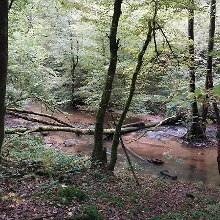 Talblick & Ruhe In Langenthal Lejlighed Hirschhorn