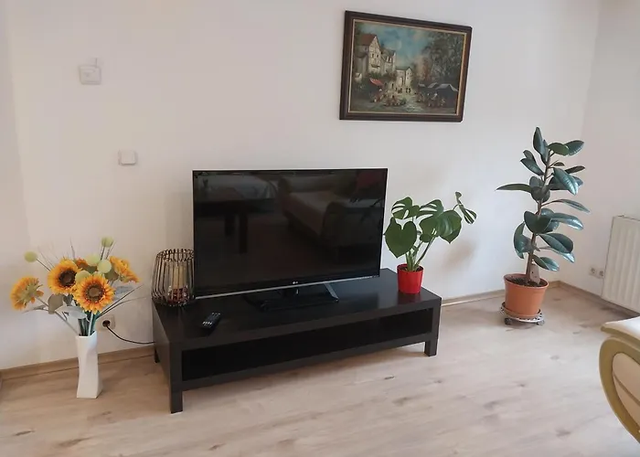 Talblick & Ruhe In Langenthal Appartement *