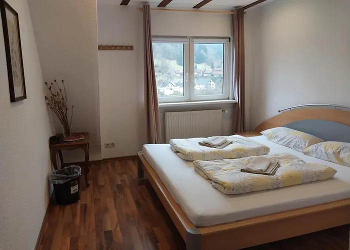 Talblick & Ruhe In Langenthal * Hirschhorn