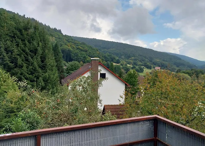 Appartement Talblick & Ruhe In Langenthal Hirschhorn