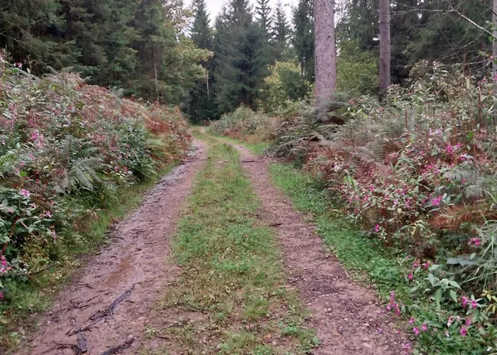 Talblick & Ruhe In Langenthal Appartement *