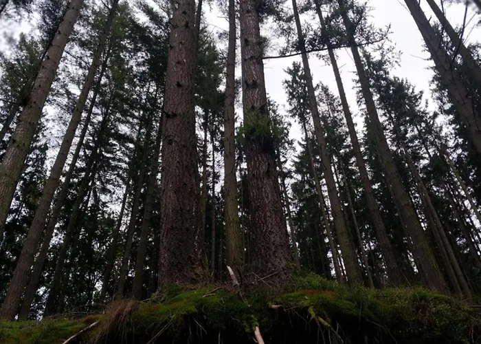 Talblick & Ruhe In Langenthal Appartement *