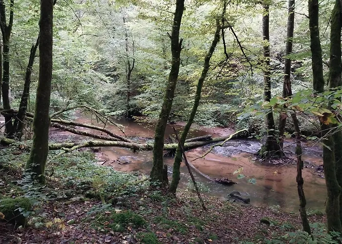 Talblick & Ruhe In Langenthal Appartement Hirschhorn