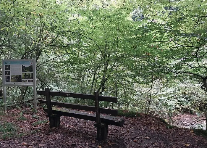 Talblick & Ruhe In Langenthal Appartement *