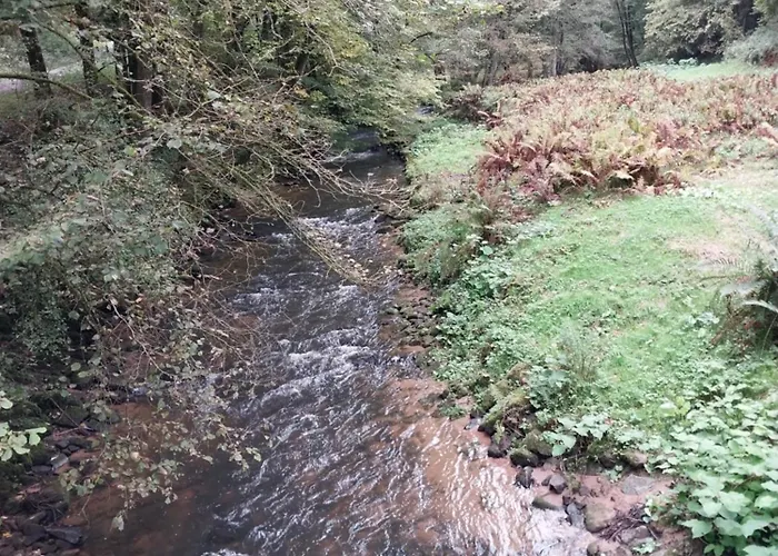 Talblick & Ruhe In Langenthal * Hirschhorn